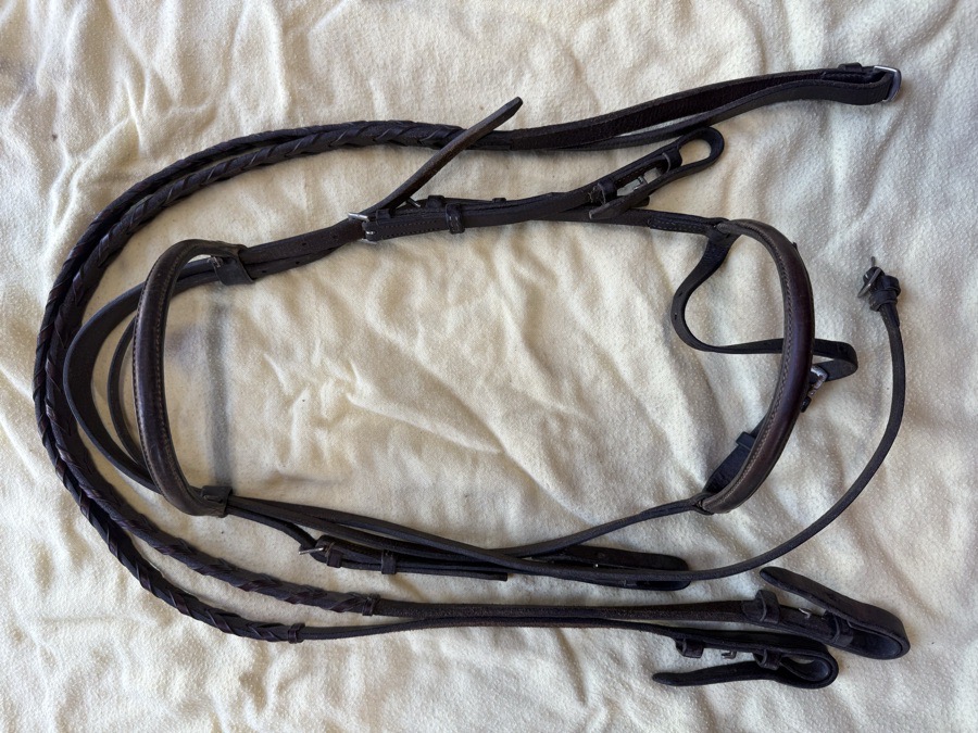 Pony bridle and reins