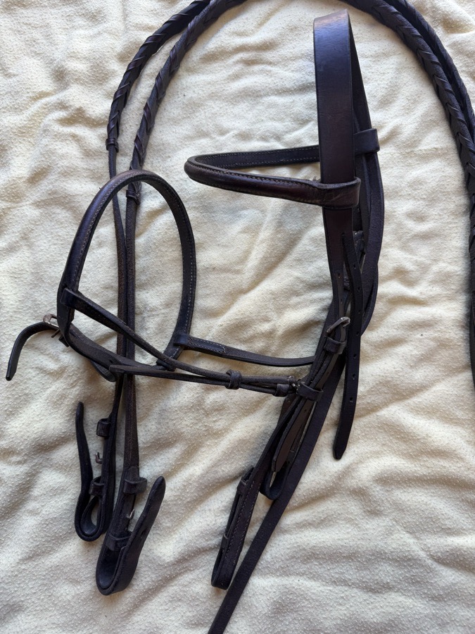 Pony bridle and reins