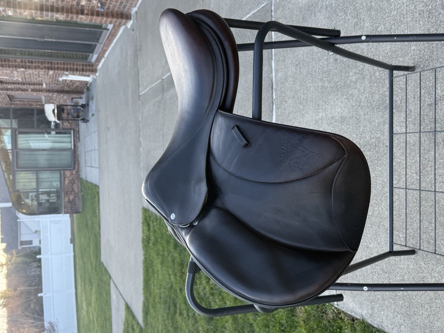 Voltaire Palm Beach Saddle for sale 