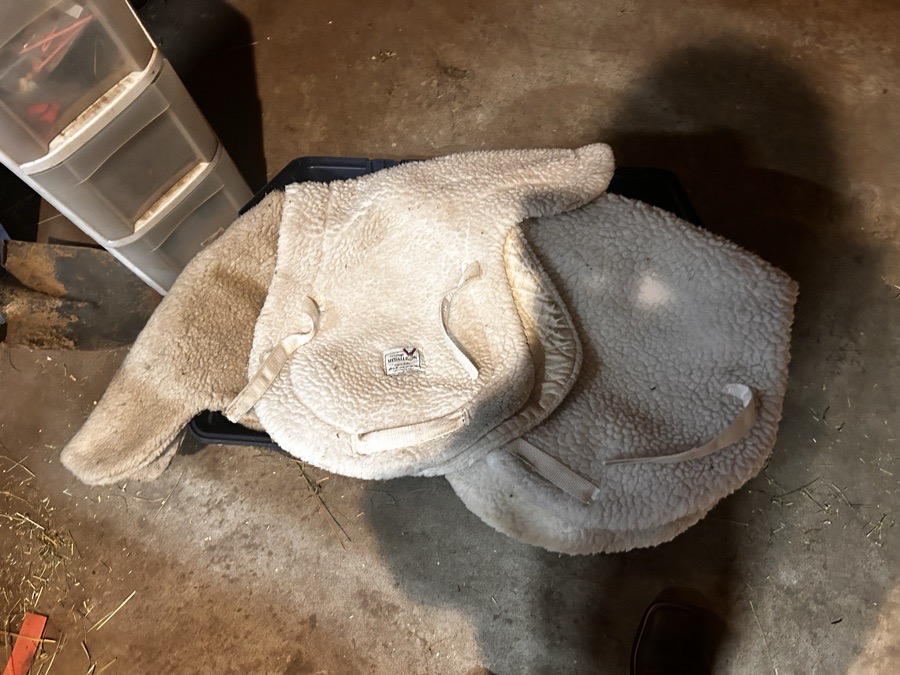 Hunter show pads