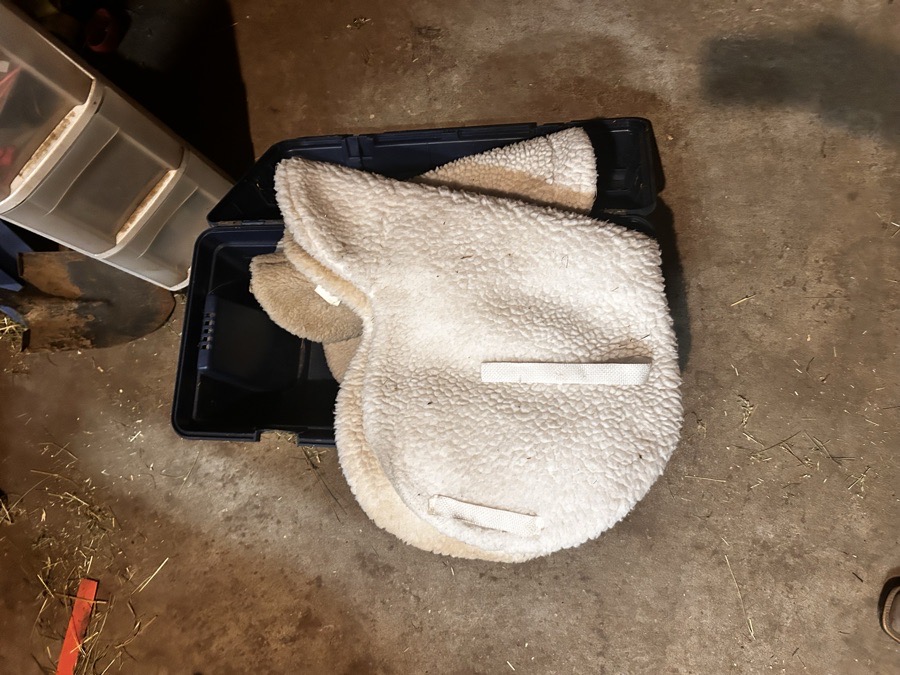 Hunter show pads