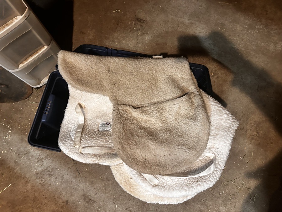 Hunter show pads