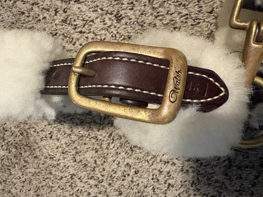 Walsh Shipping Halter