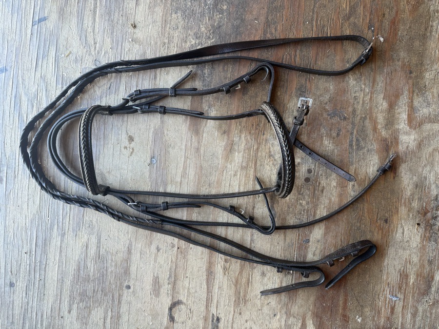 Cob bridle and reins