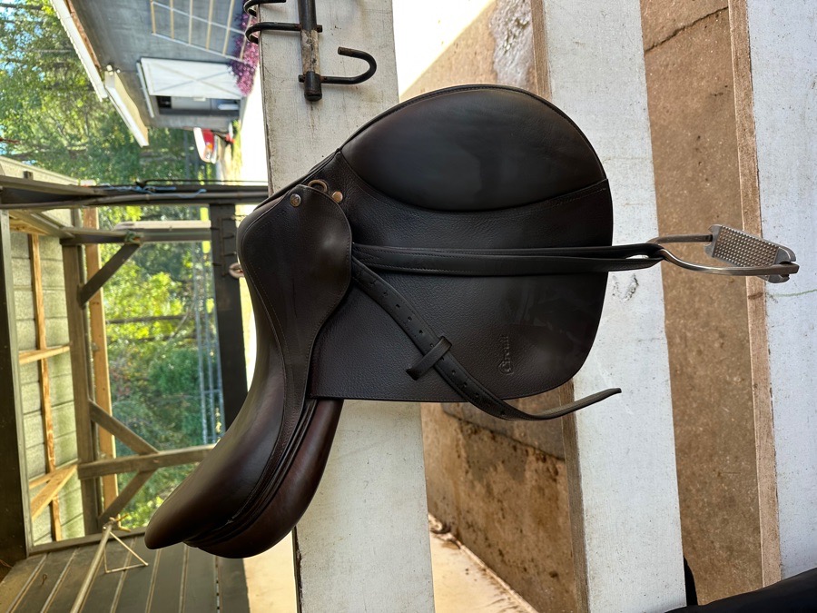 Dover Circuit Saddle