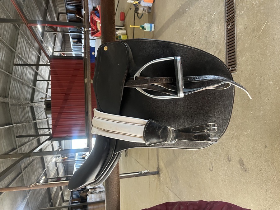 Freedman’s World Cup Flat Saddle