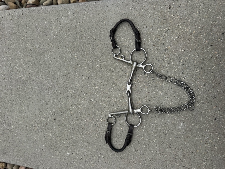 French Link Pelham Bit 5 1/2”.