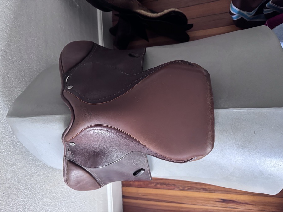 14” Pessoa Rodrigo Pony Saddle - WOOL FLOCKED - RARE!