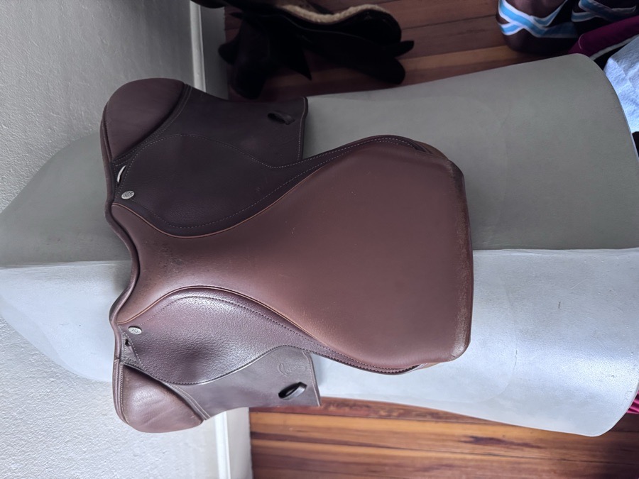 14” Pessoa Rodrigo Pony Saddle - WOOL FLOCKED - RARE!