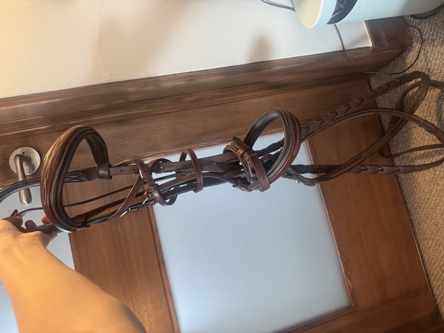 KL ITALIA fancy hunter Bridle Hampton Cob