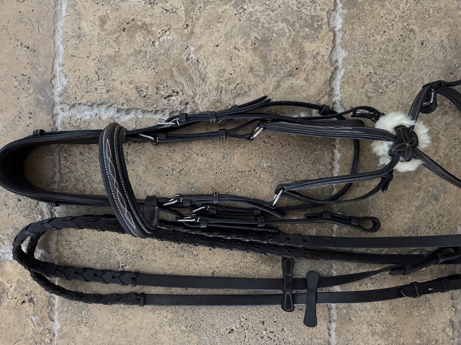 Bridles and Reins Exion Pro Figure 8 Bridle Horse size