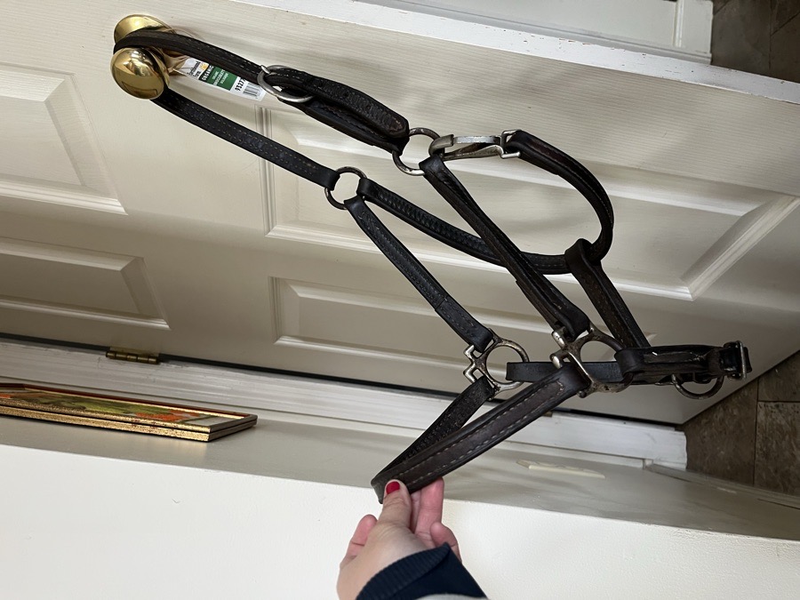 Horse Size 1/2 Inch Leather Halter