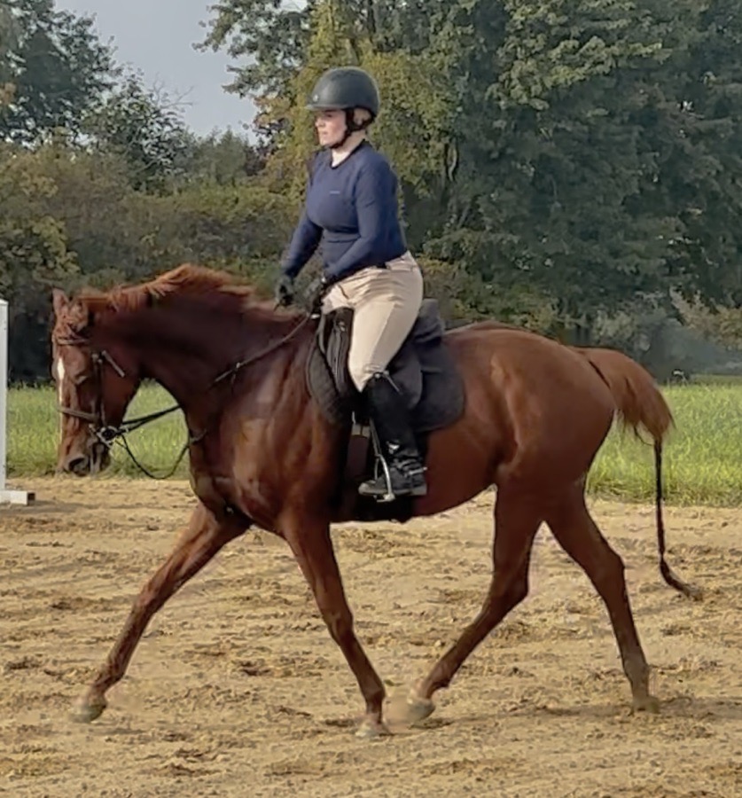 Luxury At Last- Lux