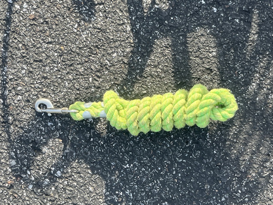 GreenGuard Cob halter and grazing muzzle. Lime green breakaway