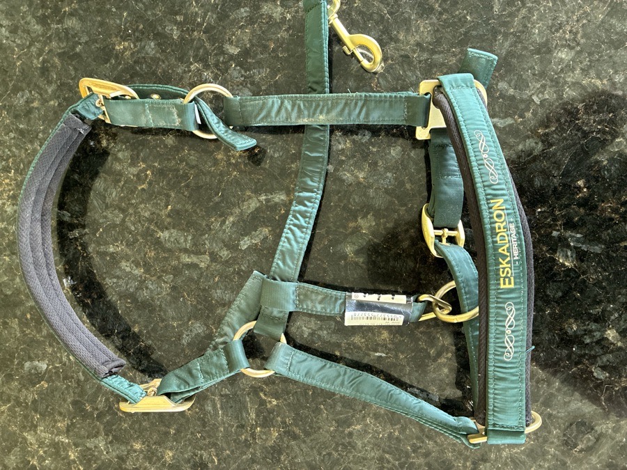 ESKADRON Halter/Rope Horse