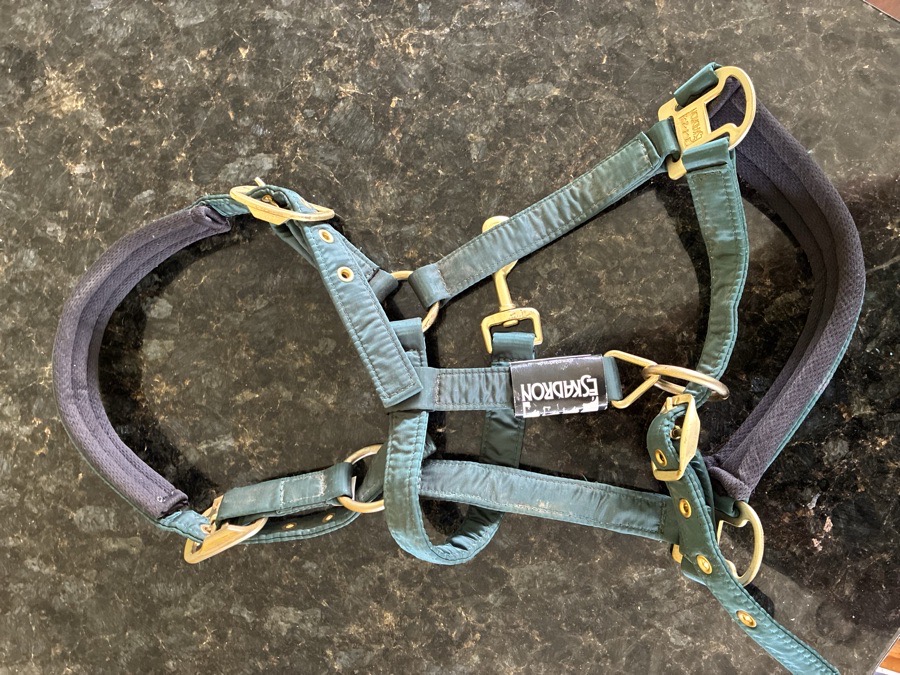 ESKADRON Halter/Rope Horse