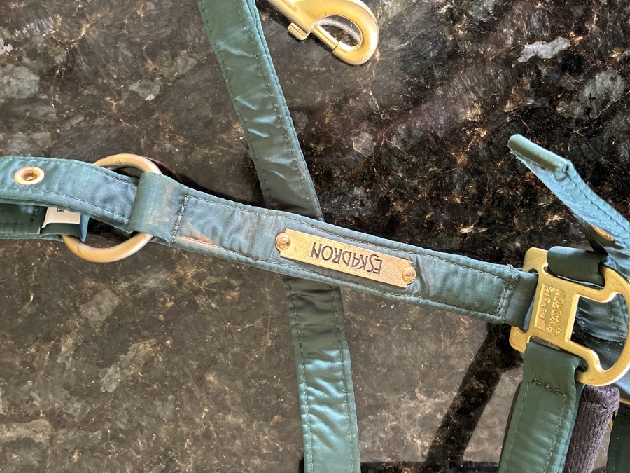 ESKADRON Halter/Rope Horse