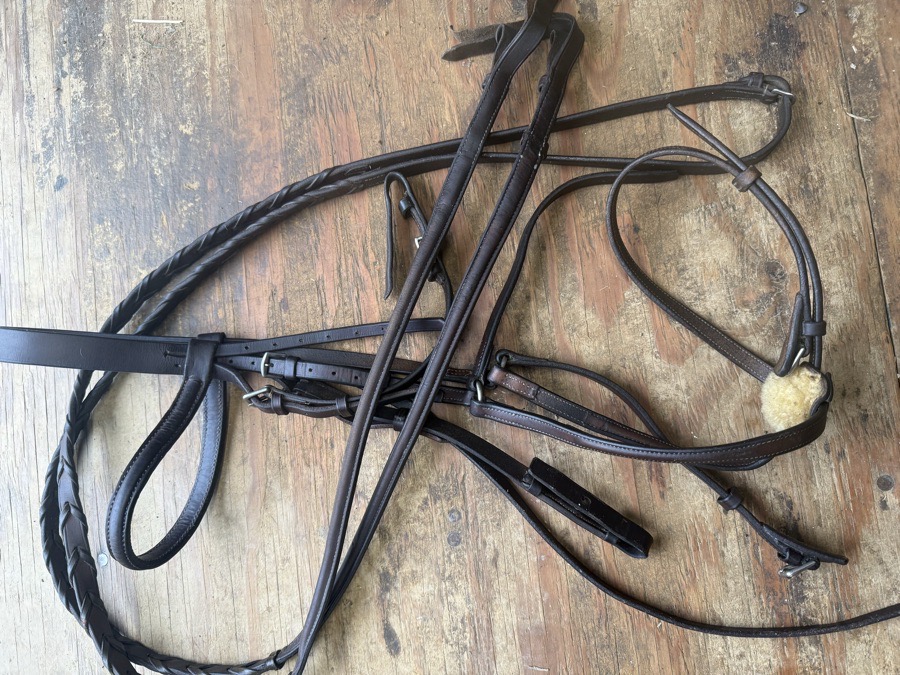 Horse sized figure 8 bridle and reins 