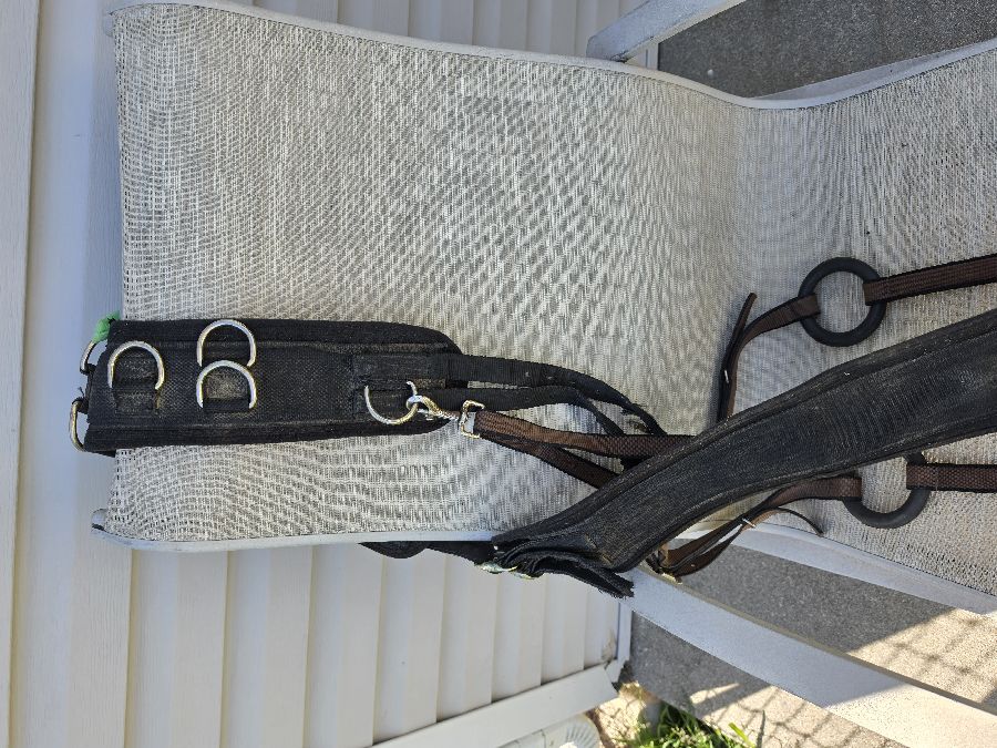 Surcingle with Side Reins