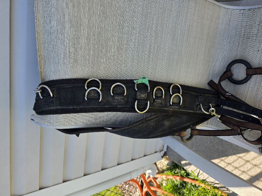 Surcingle with Side Reins
