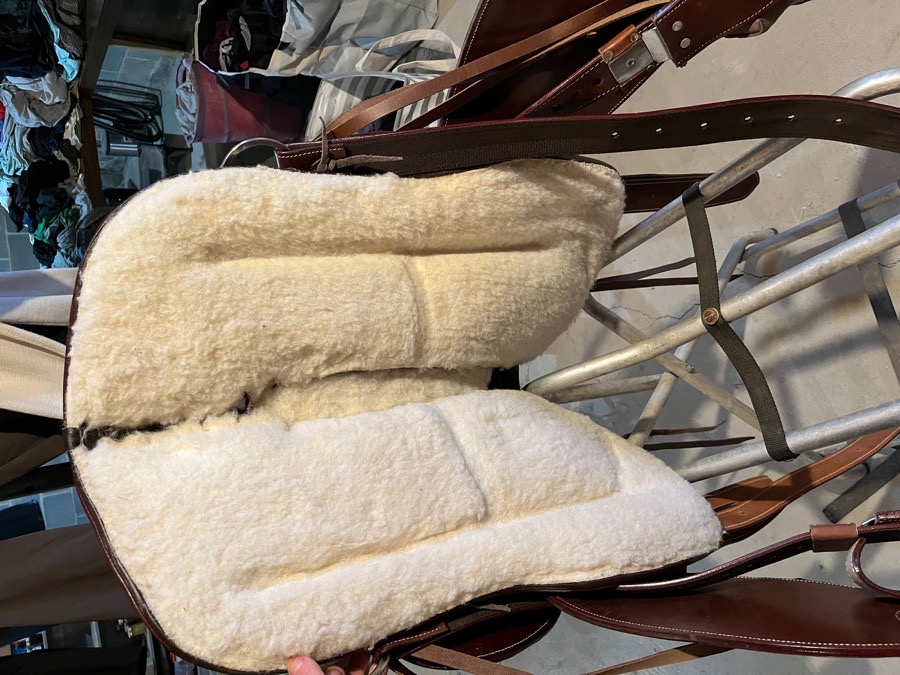 Argentine made western saddle—17” seat full QH bars