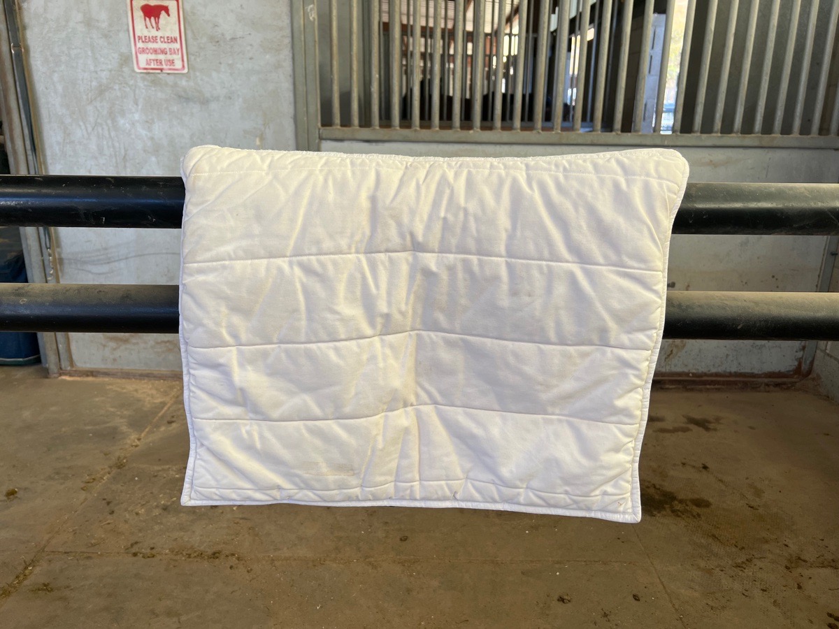 Passier pony pad