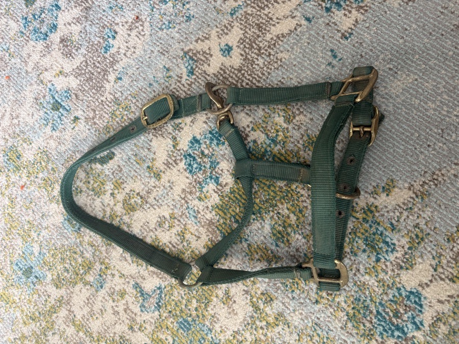 Used Halter 