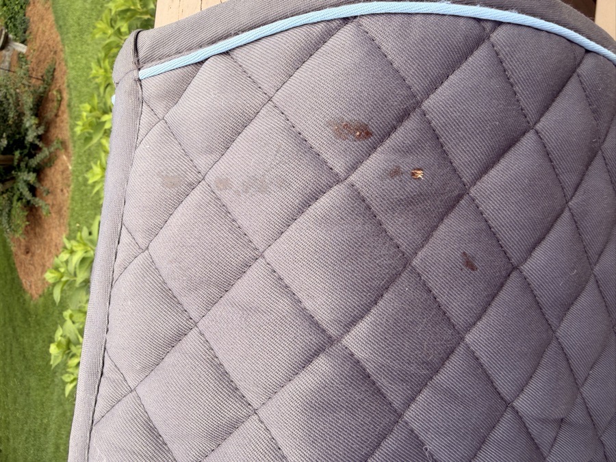 Grey dover saddlery saddle pad
