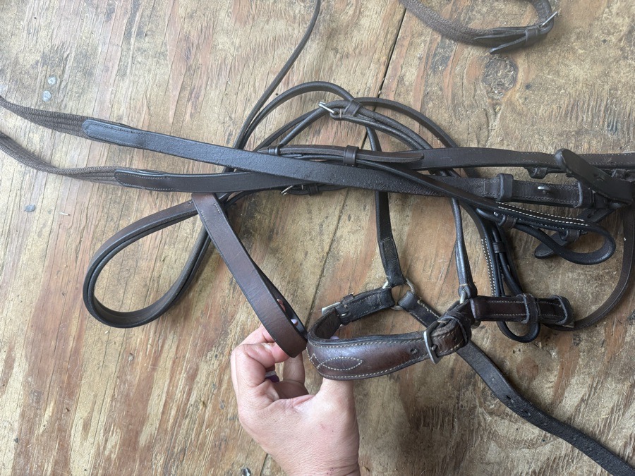 Drop noseband bridle and reins
