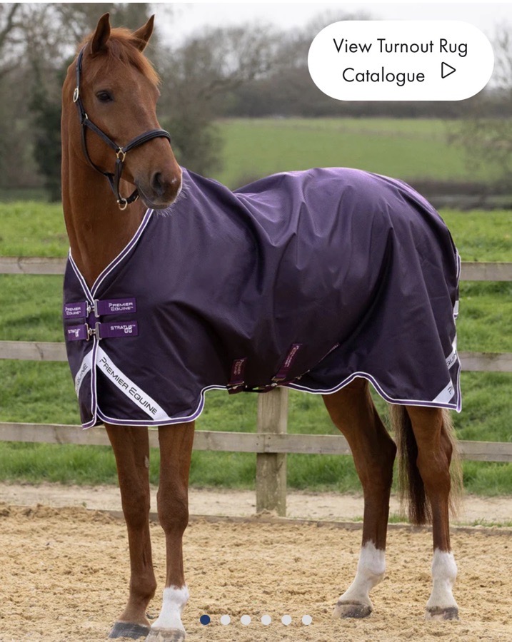 Premier Equine Stratus 600D Series 0g Original Turnout Horse Blanket Purple - 87