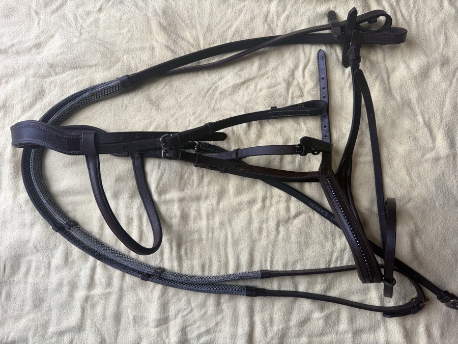 Bling noseband brown flash bridle