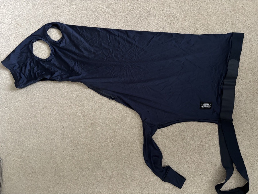 WEATHERBEETA Stretch Hood with Zip