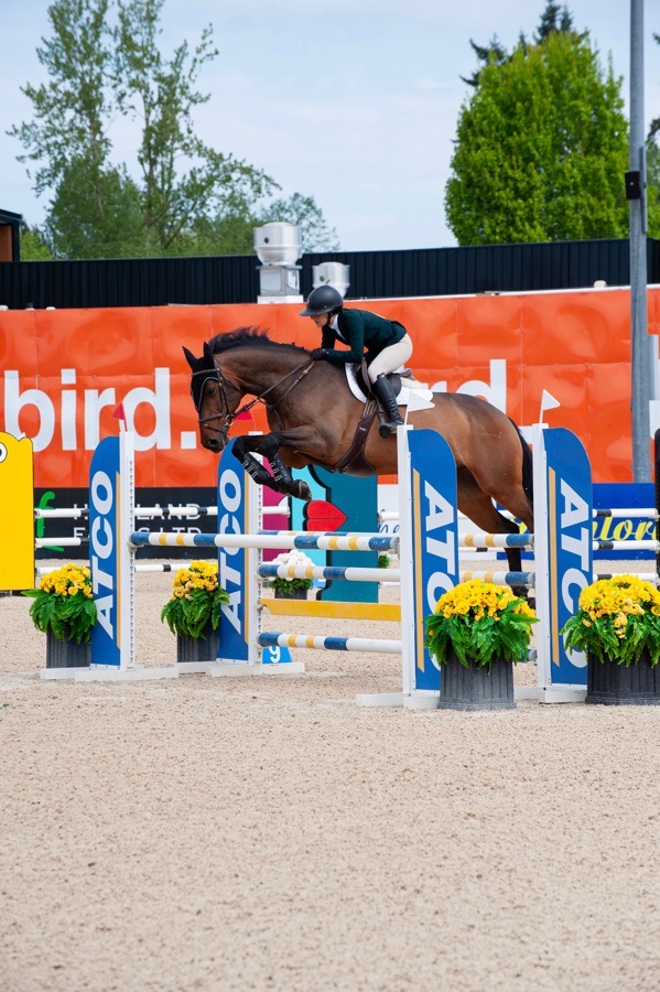 Ear Bonnet Custom Made