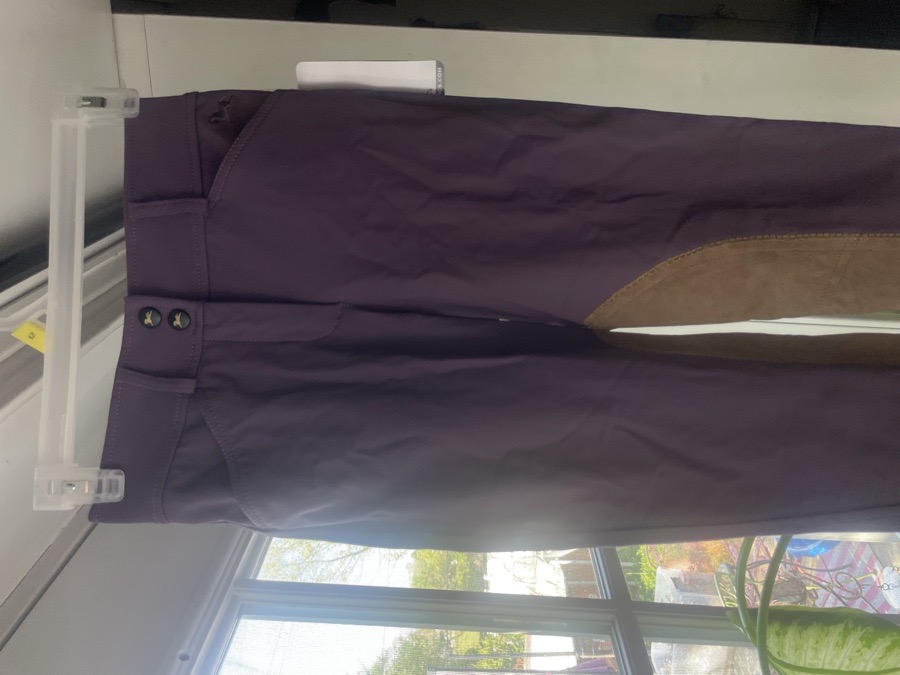 RJ CLASSICS Riding Pants - Breeches
