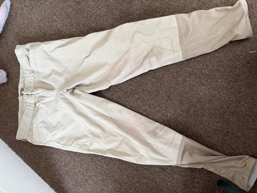 Ovation breeches 
