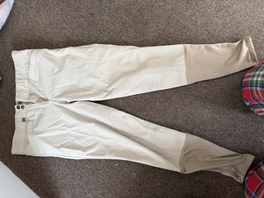 Ovation breeches 