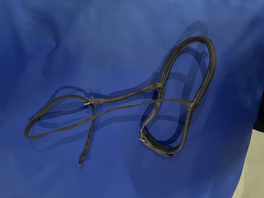 Nose band #1