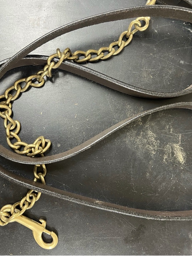 HDR leater lead with chain