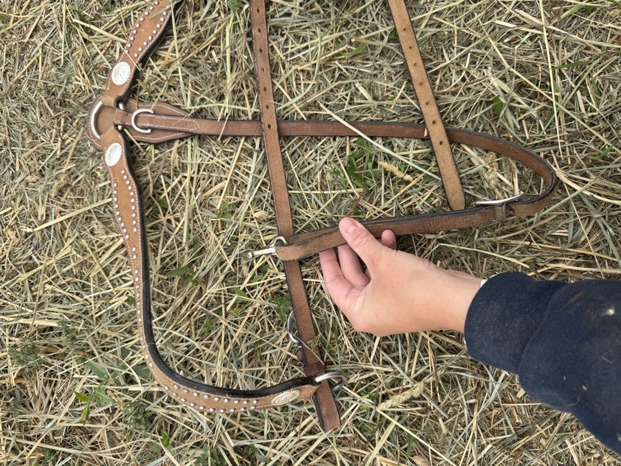 Western breast collar