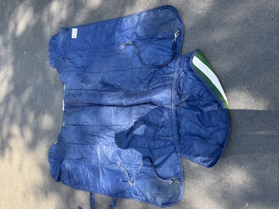 WeatherBeeta Plus Dynamic Heavy Turnout