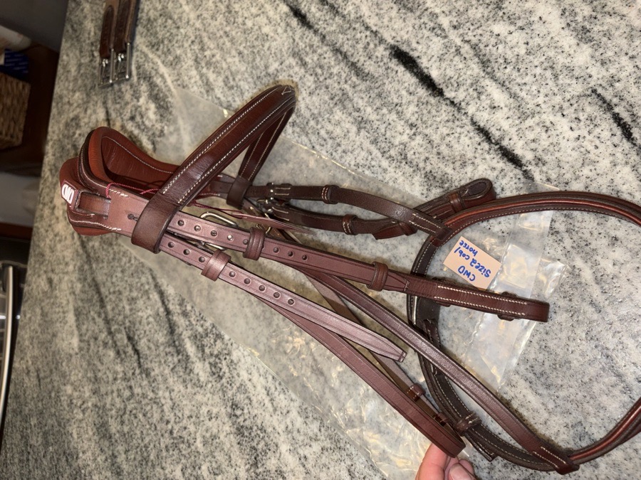 CWD *NEW* french noseband anatomical bridle with removable flash attachment
