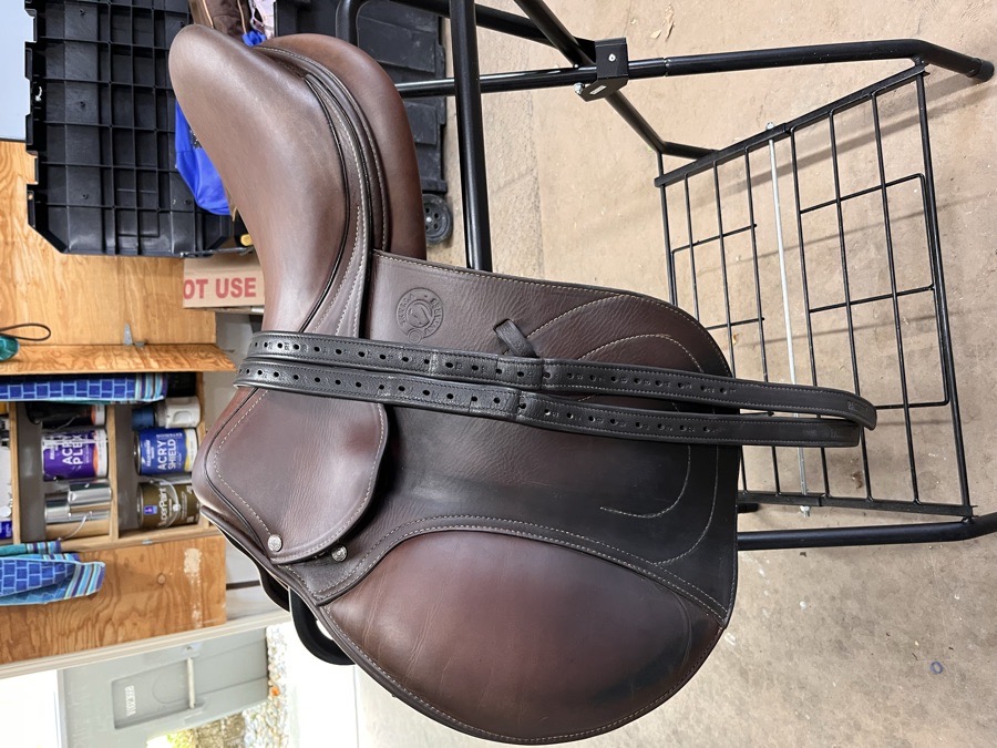 ANTARES | 18" | 5" Tree Size | 2024