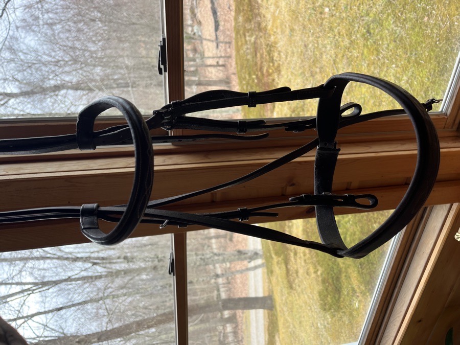 Pessoa cob sized Hunter bridle and martingale