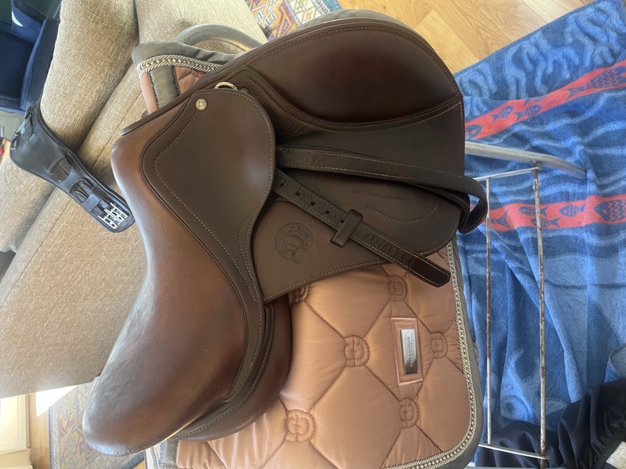 Antares Skylla 15.5” Calfskin Pony Jump Saddle