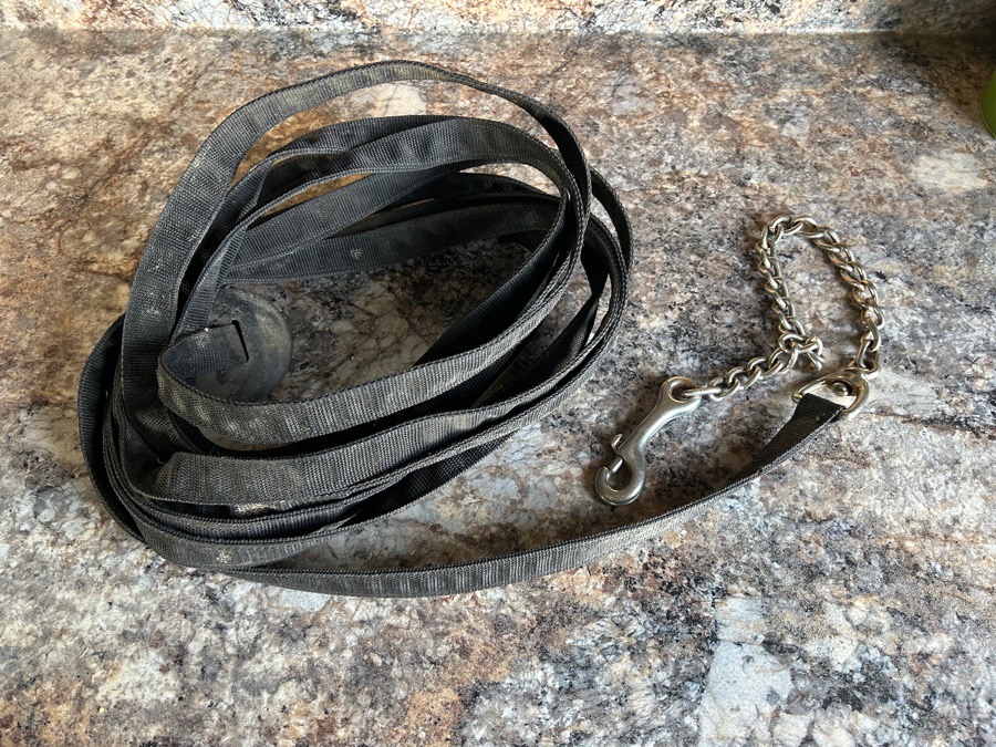 Black Lunge Line with Chain