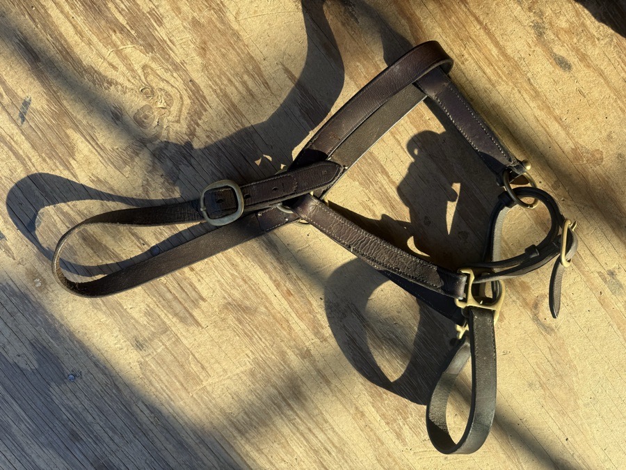 full sized leather halter