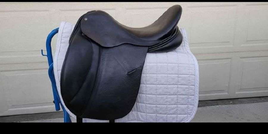 16.5 Custom Saddlery Victory 