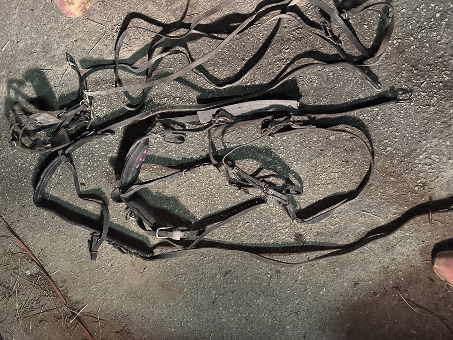 Leather & Biothane Mini Horse Harness