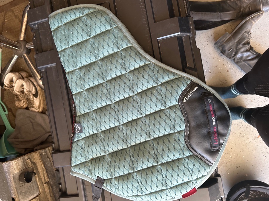 Lemieux Carbon Mesh CC Sage