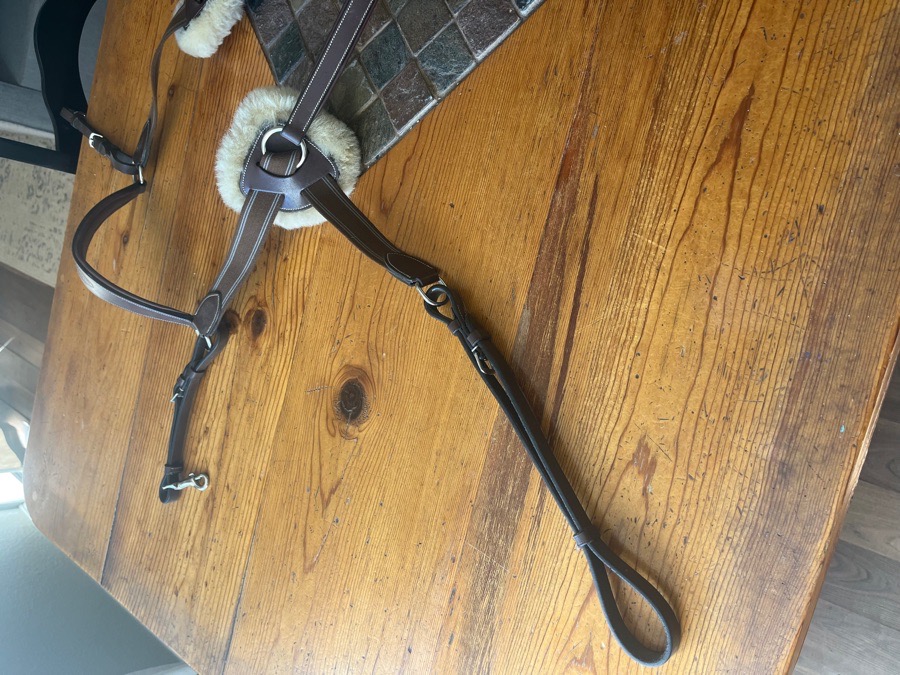 SOLD 5-point Henri De Rivel Breastplate